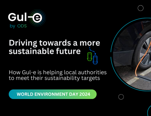 World Environment Day 2024: How Gul-e is helping local authorities meet their sustainability targets